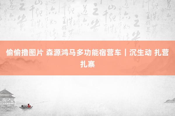 偷偷撸图片 森源鸿马多功能宿营车｜沉生动 扎营扎寨