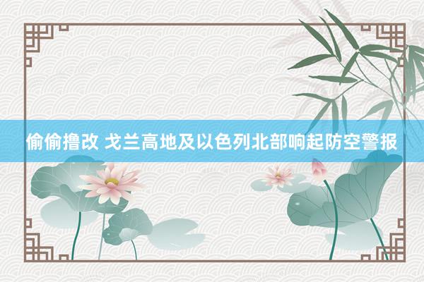 偷偷撸改 戈兰高地及以色列北部响起防空警报