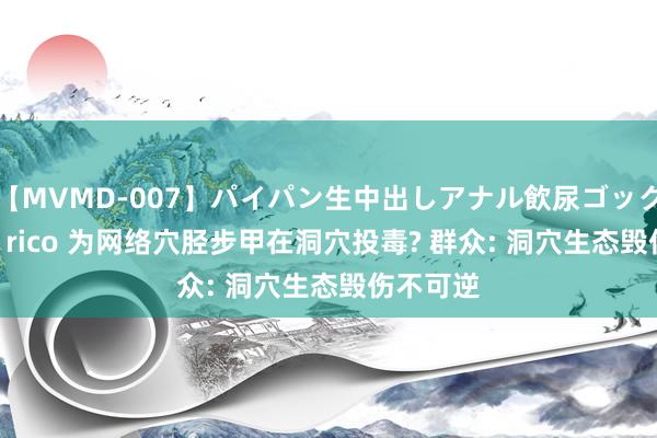【MVMD-007】パイパン生中出しアナル飲尿ゴックンFUCK rico 为网络穴胫步甲在洞穴投毒? 群众: 洞穴生态毁伤不可逆
