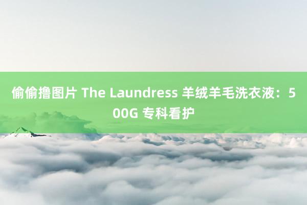 偷偷撸图片 The Laundress 羊绒羊毛洗衣液：500G 专科看护