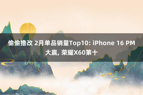 偷偷撸改 2月单品销量Top10: iPhone 16 PM大赢, 荣耀X60第十