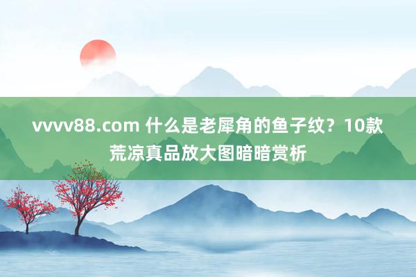 vvvv88.com 什么是老犀角的鱼子纹？10款荒凉真品放大图暗暗赏析