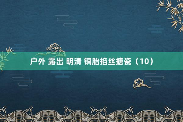 户外 露出 明清 铜胎掐丝搪瓷（10）